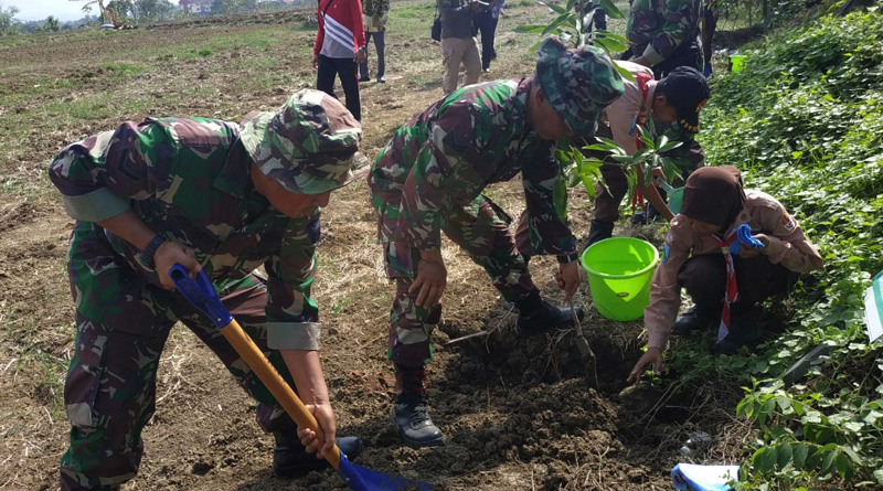 Kodam V Brawijaya Bersama Pramuka Tanam 3000 Pohon di Buper Jatim