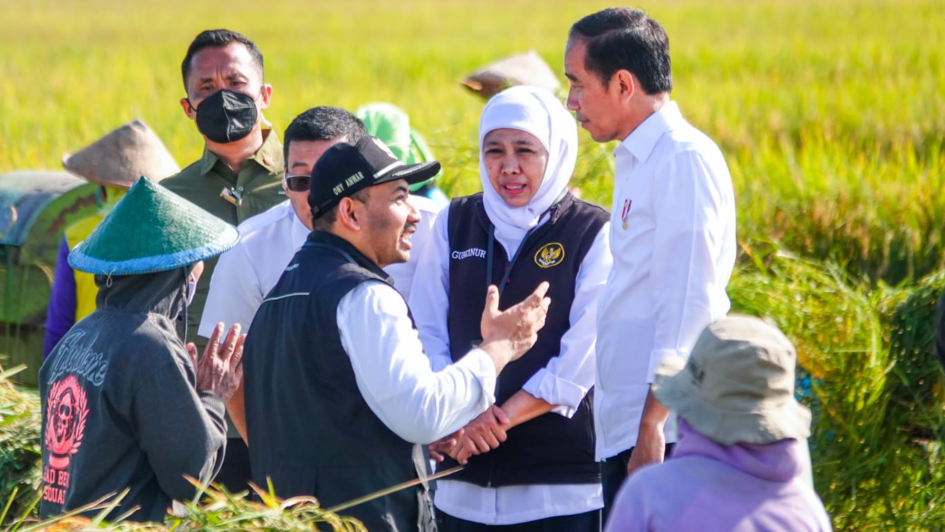 Presiden Jokowi di Ngawi, Gubernur Khofifah Komitmen Tingkatkan Produktivitas dan Jaga Keseimbangan Harga GKP Petani