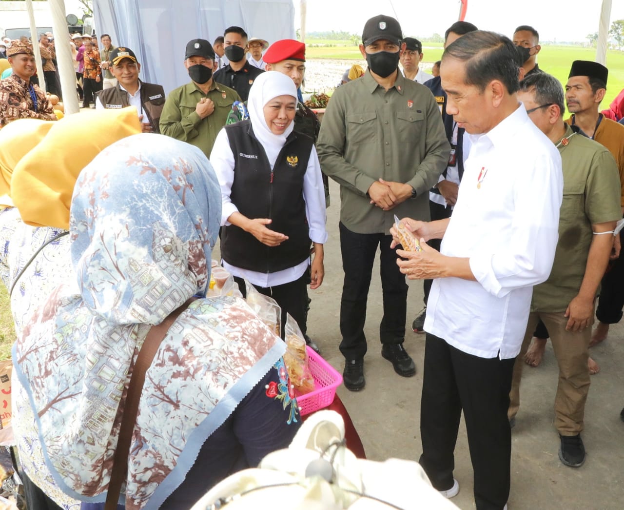 Tanam Padi Bersama Presiden Jokowi di Tuban, Gubernur Khofifah Komitmen Dorong Percepatan Masa Tanam untuk Jaga Produktivitas