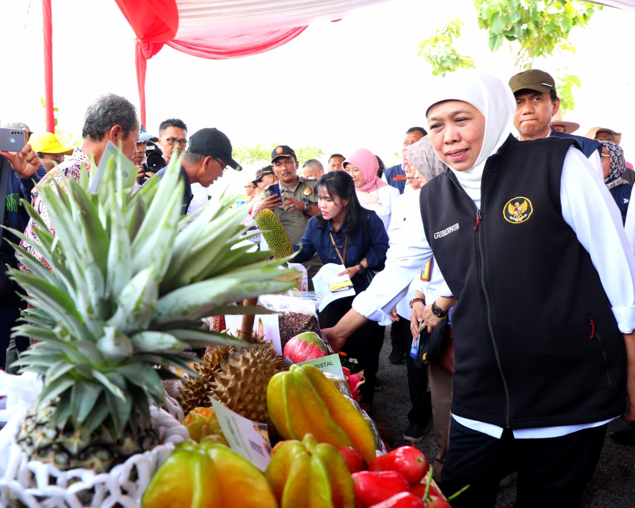 Tinjau Inovasi Pertanian Ngawi, Gubernur Khofifah: Upaya Implementasi Pertanian Modern Untuk Wujudkan Jatim Lumbung Pangan Nasional