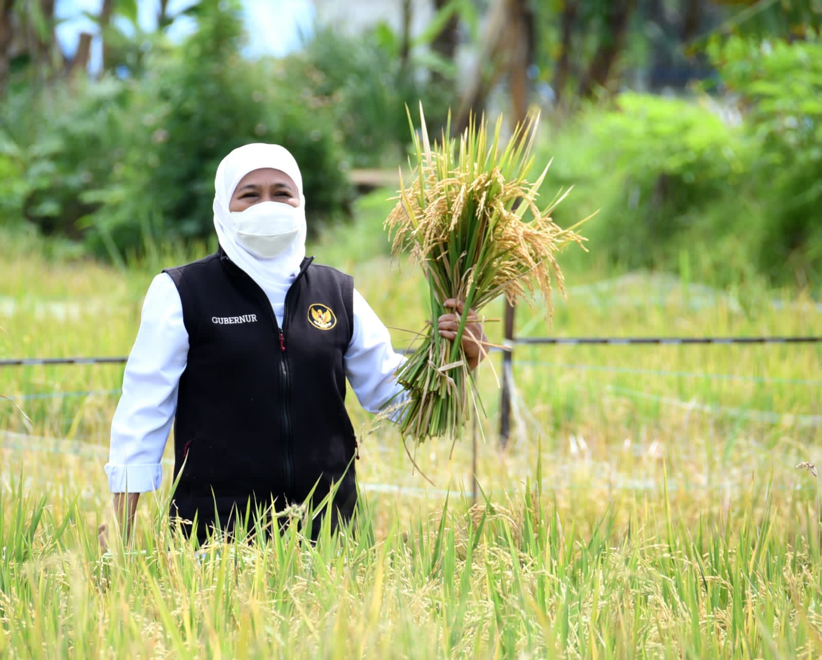 Sensus Pertanian 2023 Dimulai 1 Juni, Gubernur Khofifah Optimis Hasil Data Akurat Akan Jadi Acuan Kebijakan yang Tepat