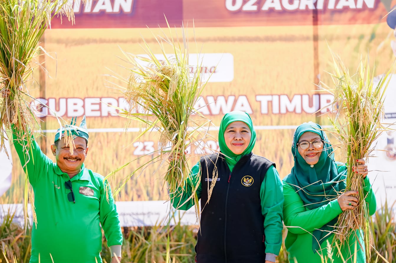 Panen Perdana Padi Varietas BK 01 dan 02 di Situbondo, Gubernur Khofifah: Bibit Unggul dengan Hasil Panen Dua Kali Lipat