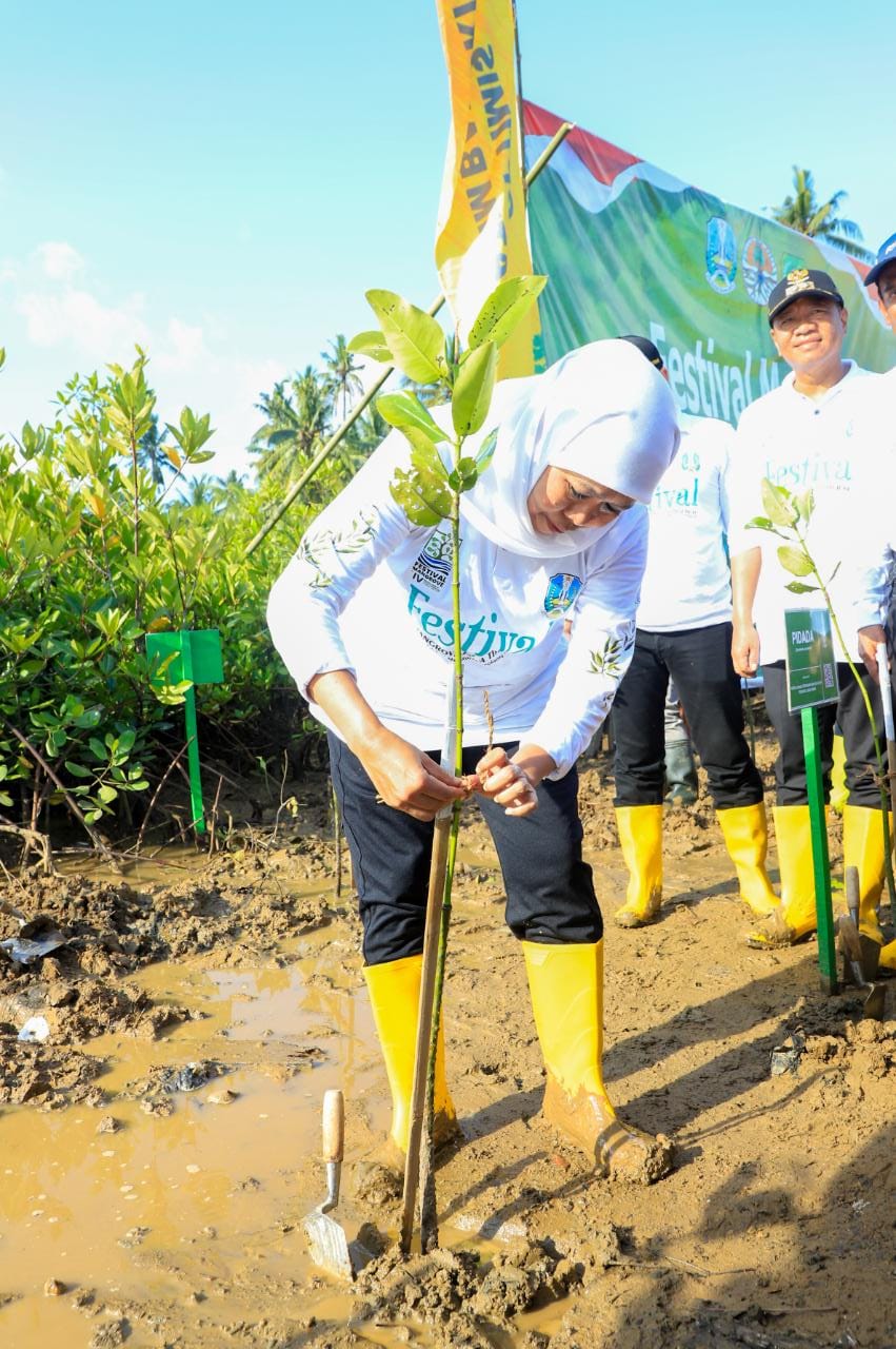 Gelar Festival Mangrove di Pancer Cengkrong Trenggalek, Gubernur Khofifah Dorong Hilirisasi dari Pengembangan Ekosistem Mangrov