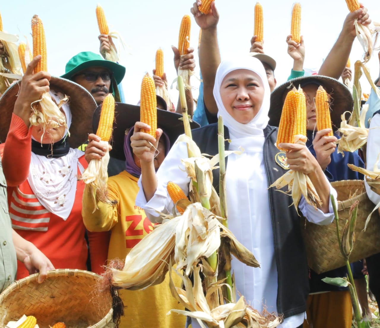Peringati Hari Krida Pertanian, Gubernur Khofifah: Peningkatkan Produktivitas Pertanian Harus Selaras dengan Kesejahteraan Petani