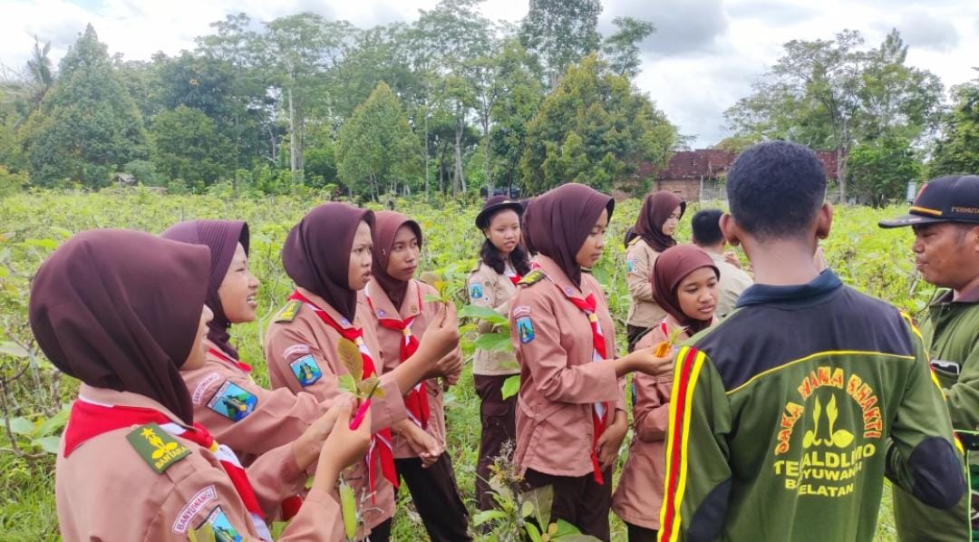 48 Anggota Saka Wanabakti Banyuwangi Selatan Belajar Pembibitan Jati Stek Pucuk
