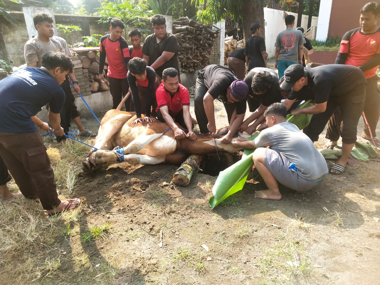 Kwarcab Surabaya Sembelih Hewan Kurban Penuh Makna, Wujudkan Iman, Takwa, dan Kebersamaan