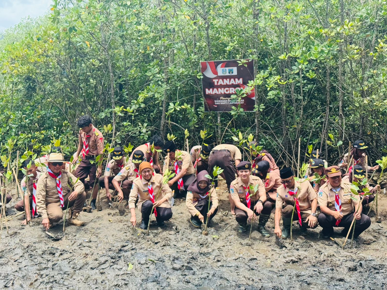 Kak Khofifah dan Pramuka Jatim Tanam Ratusan Mangrove Bersama